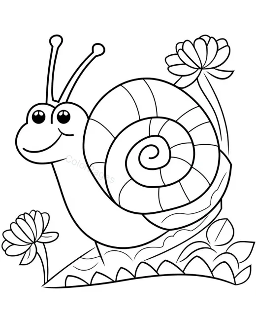 Forest Animal preview